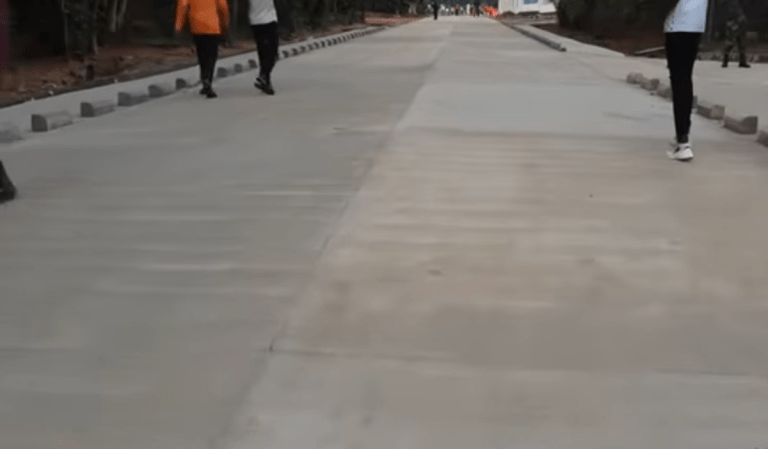 Route asphaltée